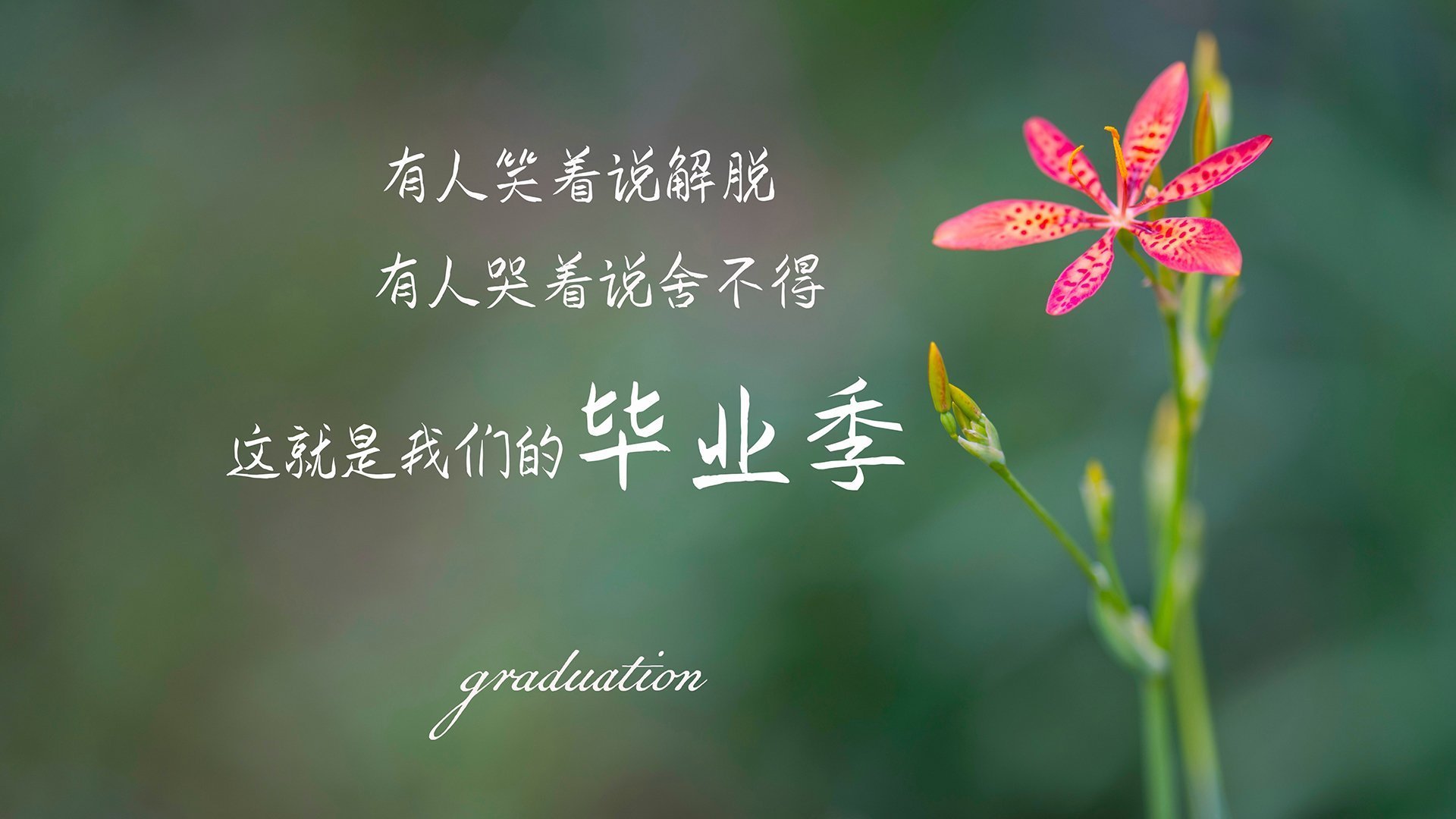 太阳能板最好的品牌（太阳能板十大名牌排名）