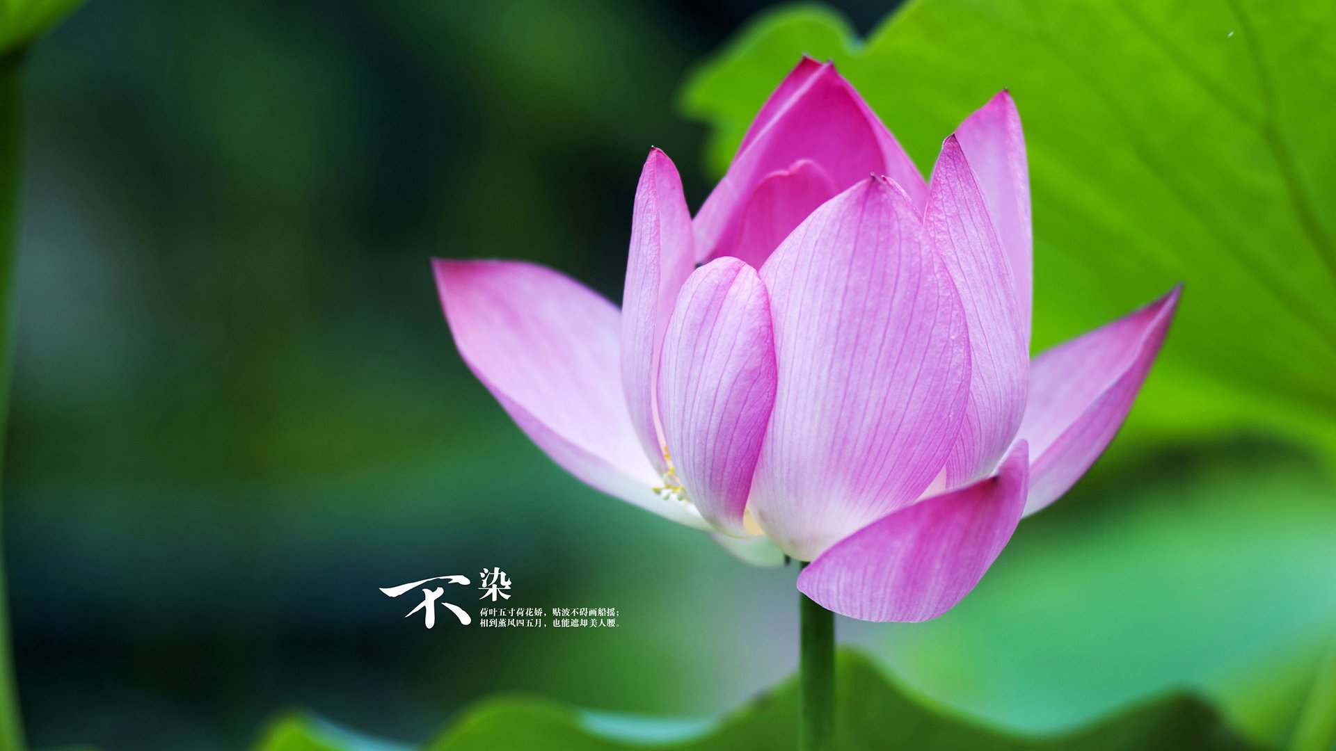 太阳能不加热最简单三个原因（太阳能不能加热是什么原因）