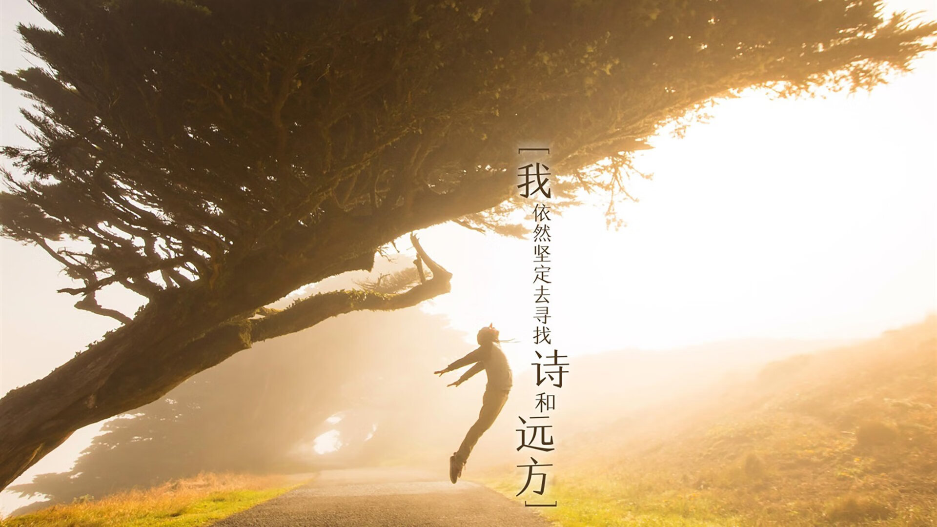 太阳能庭院灯十大名牌（太阳能庭院灯厂家报价）