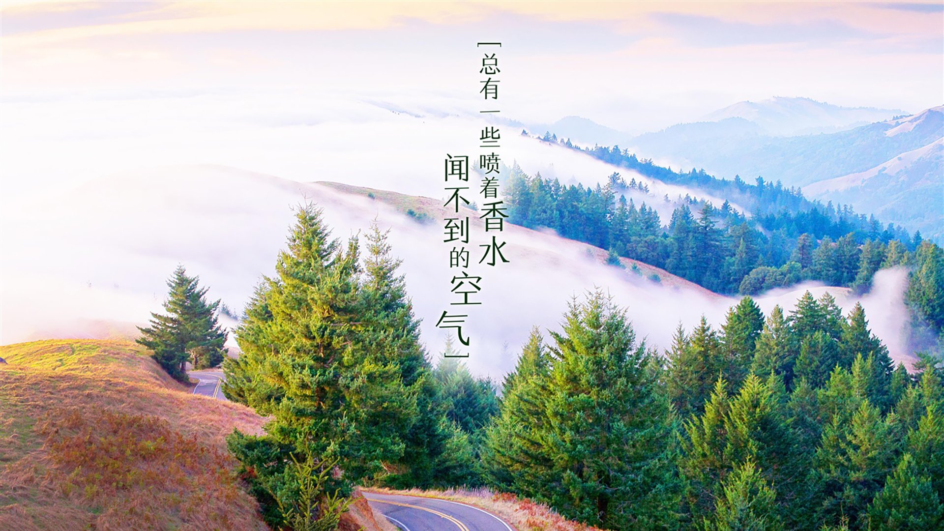 太阳能led路灯厂（太阳能路灯大型厂家）